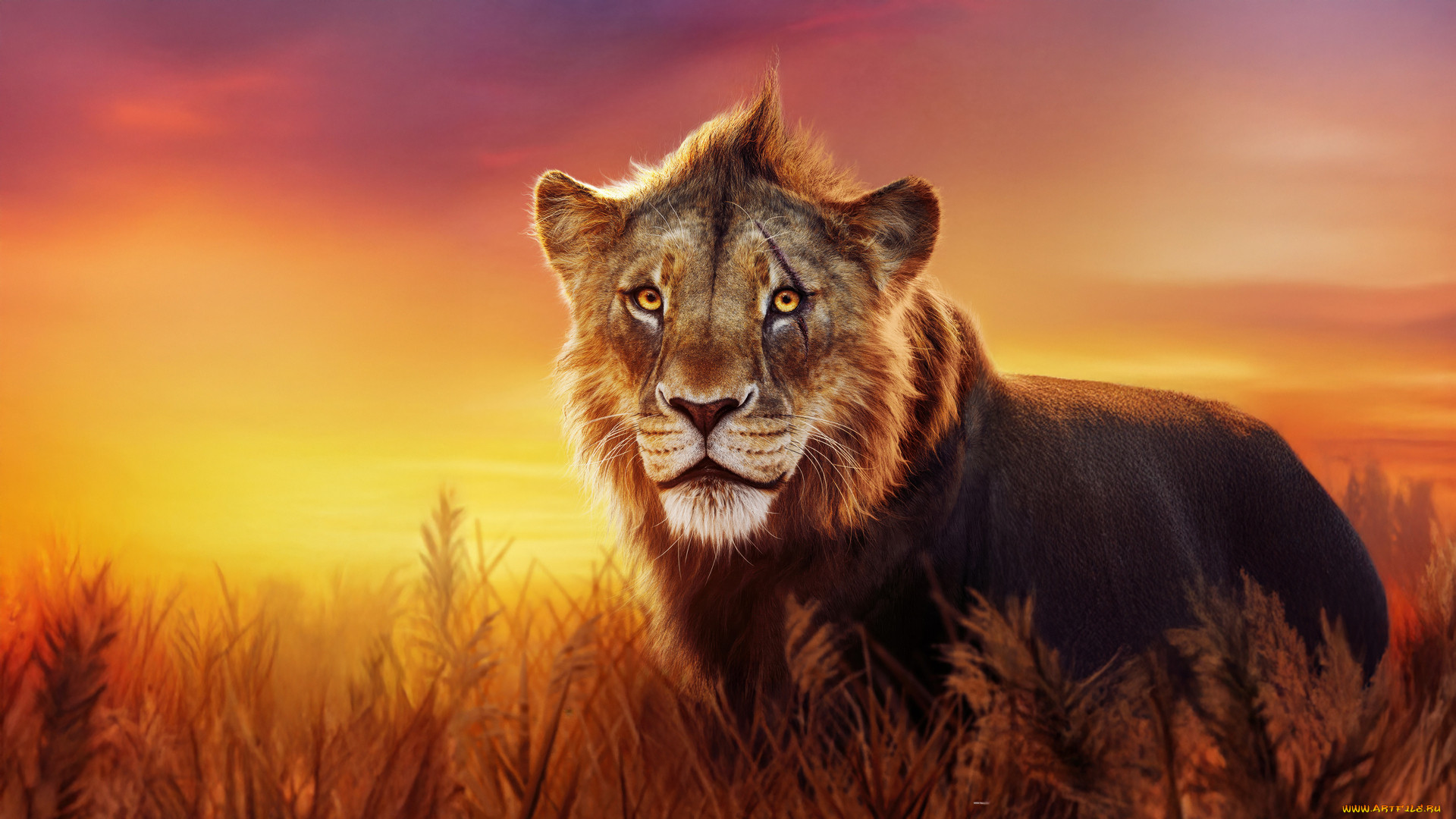 mufasa,  the lion king ,  2024 , ,  the lion king, , oo, e, , , , , disney, oe, the, lion, king, taka